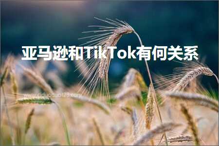 跨境电商知识:亚马逊和TikTok有何关系